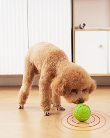 dog toys for small dogs