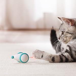 interactive cat toys