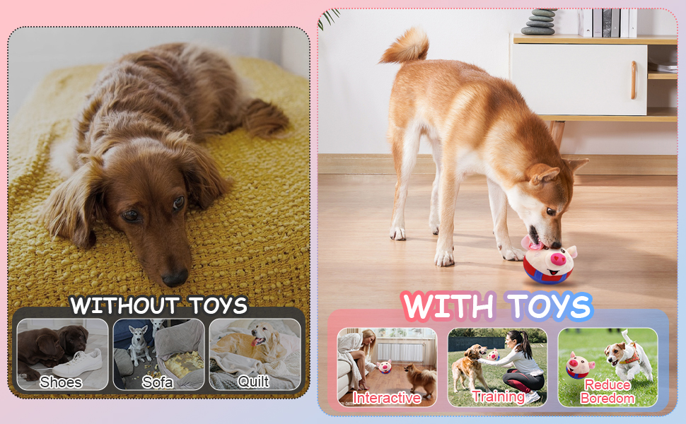 dog toys to keep them busy