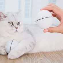 cat with cat toy ball