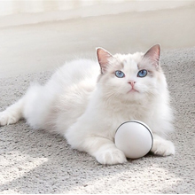 another cat holding ball