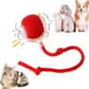 Interactive Rolling Dog Ball,Electric Dog Ball Toy,Interactive Rolling Ball Dog Toy,Rolling Ball Dog Toy,Electric Dog Ball,Electric Rolling Ball Dog Toy(Red)
