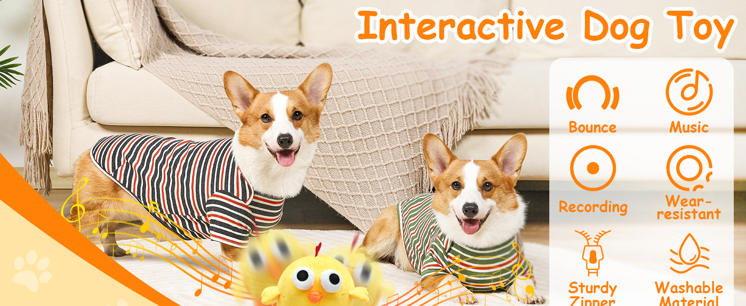 interactive dog toys