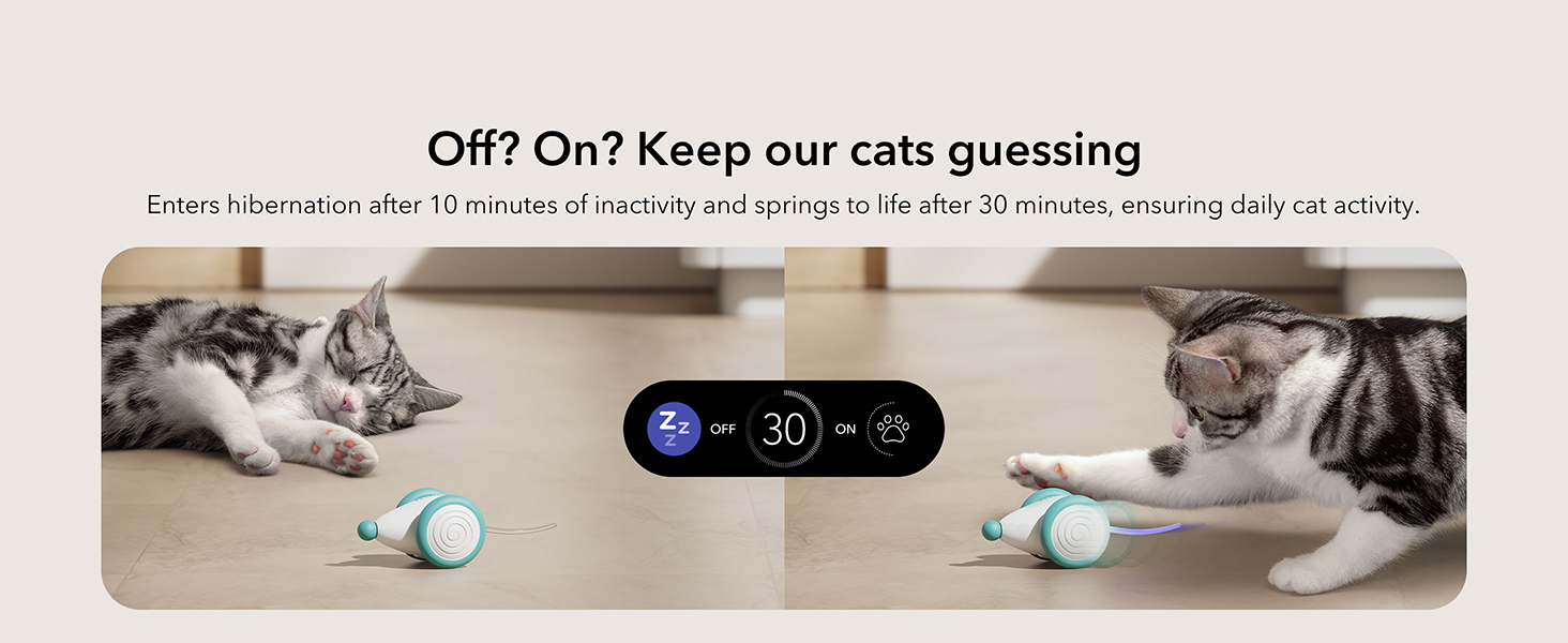 cat toys interactive for indoor cats