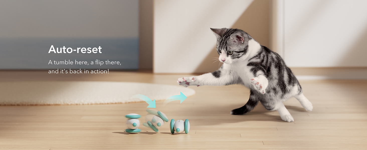 interactive cat toy