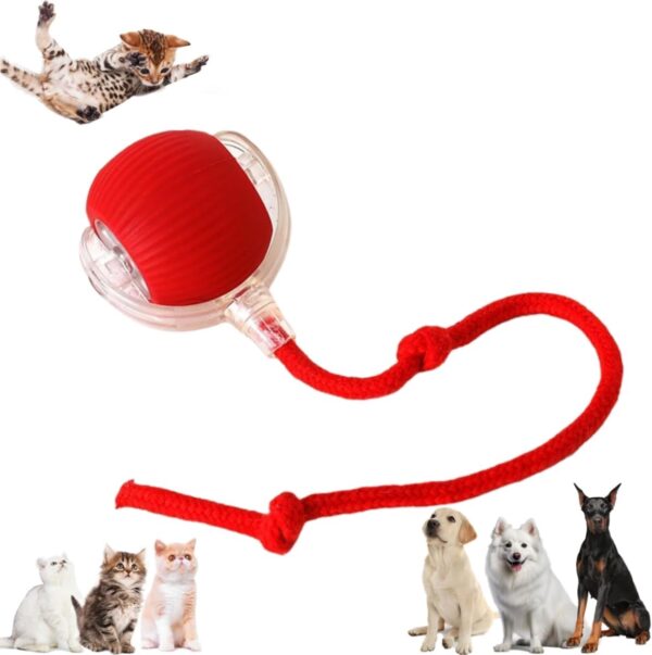 Interactive Rolling Ball Dog Toy Large, Interactive Dog Toys for Small Dogs, Interactive Rolling Dog Ball, Electric Dog Ball Toy, Long Tail Motion Activate Fast Rolling on Carpet Toys (Red)