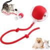 Interactive Rolling Dog Ball, Interactive Cat Toys Ball, Cat Toys Ball for Indoor Cats Fast Rolling on Carpet, 360° Smart Automatic Rolling Pet Ball, Smart Self Rolling Ball for Dog and Cat (Red)