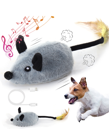 dog toys