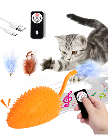 Cat Toys