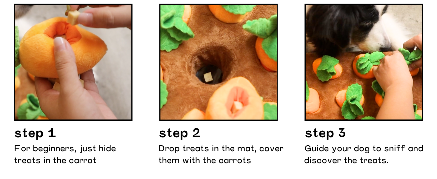 3 steps to play this carrot treat puzzle snuffle mat