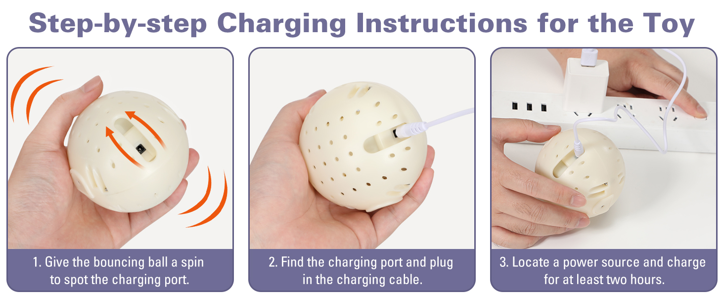 Step-by-step Charging Instructions for the Toy