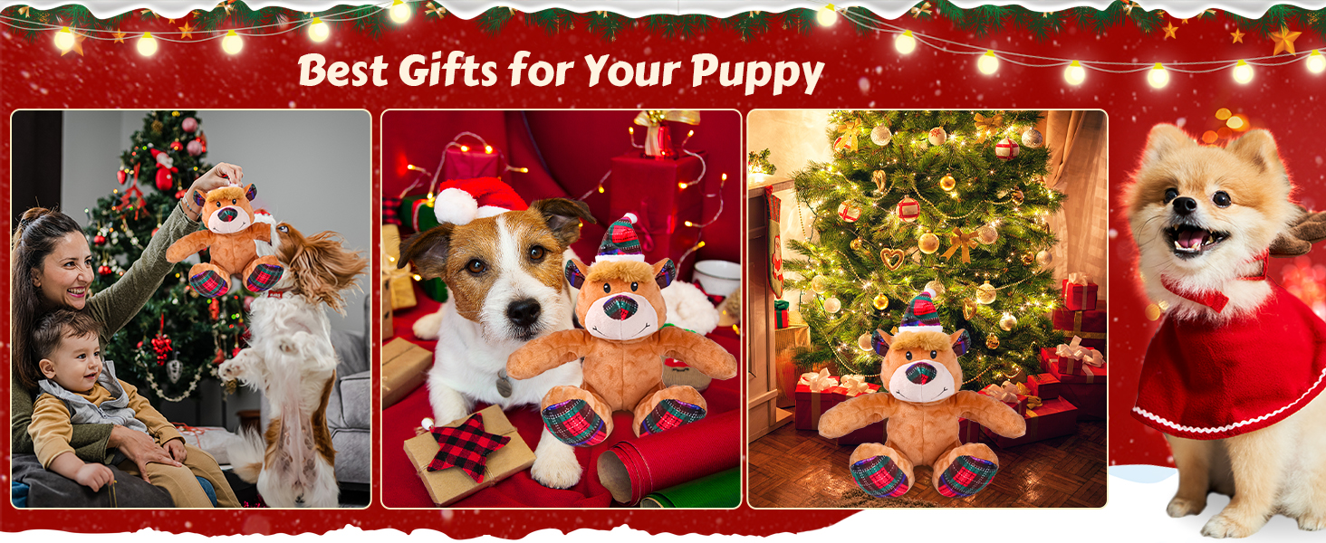  dog gifts for small dogs