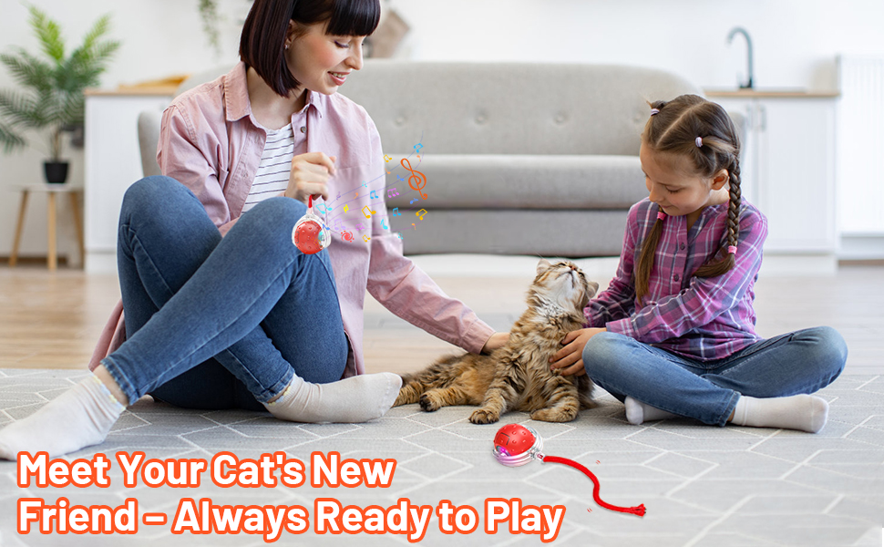 Interactive Rolling Cat/Dog Toys Ball