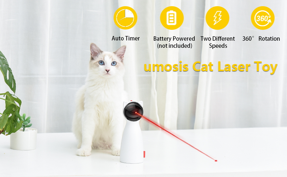 cat laser toys