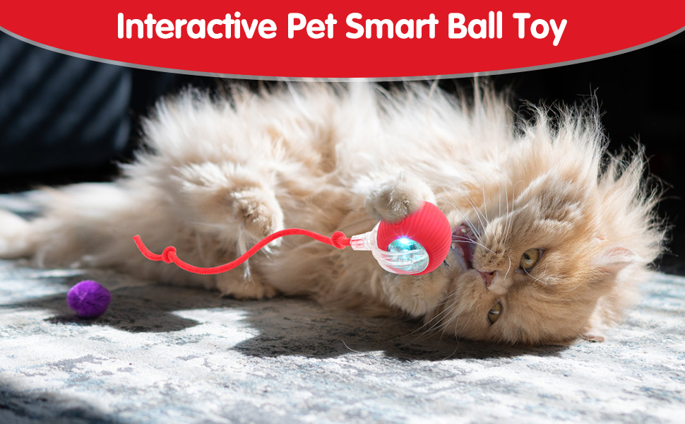 chewy viral rolling ball,interactive rolling dog ball,moving dog toy,smart cat toy ball