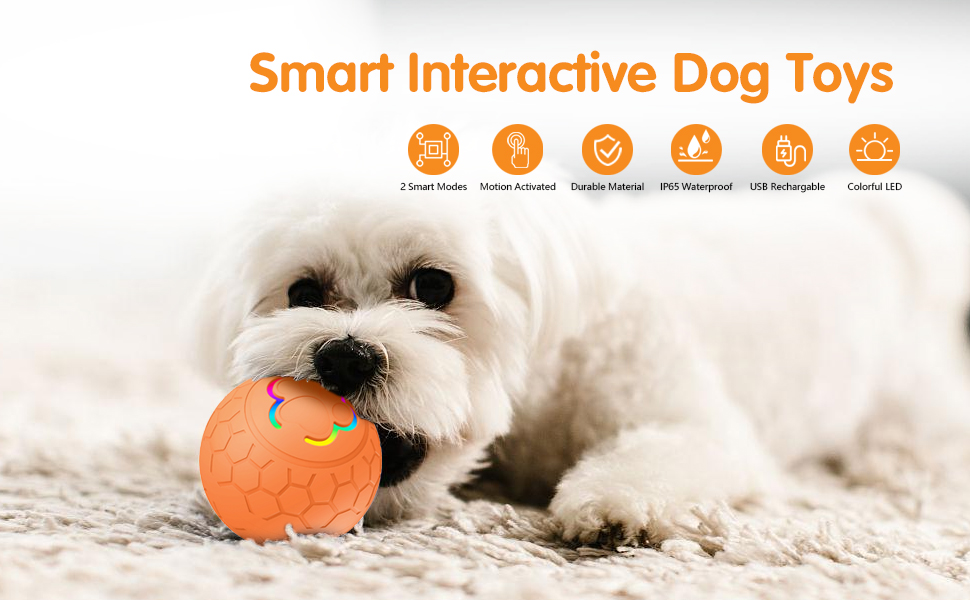 interactive dog ball