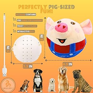 pig plush