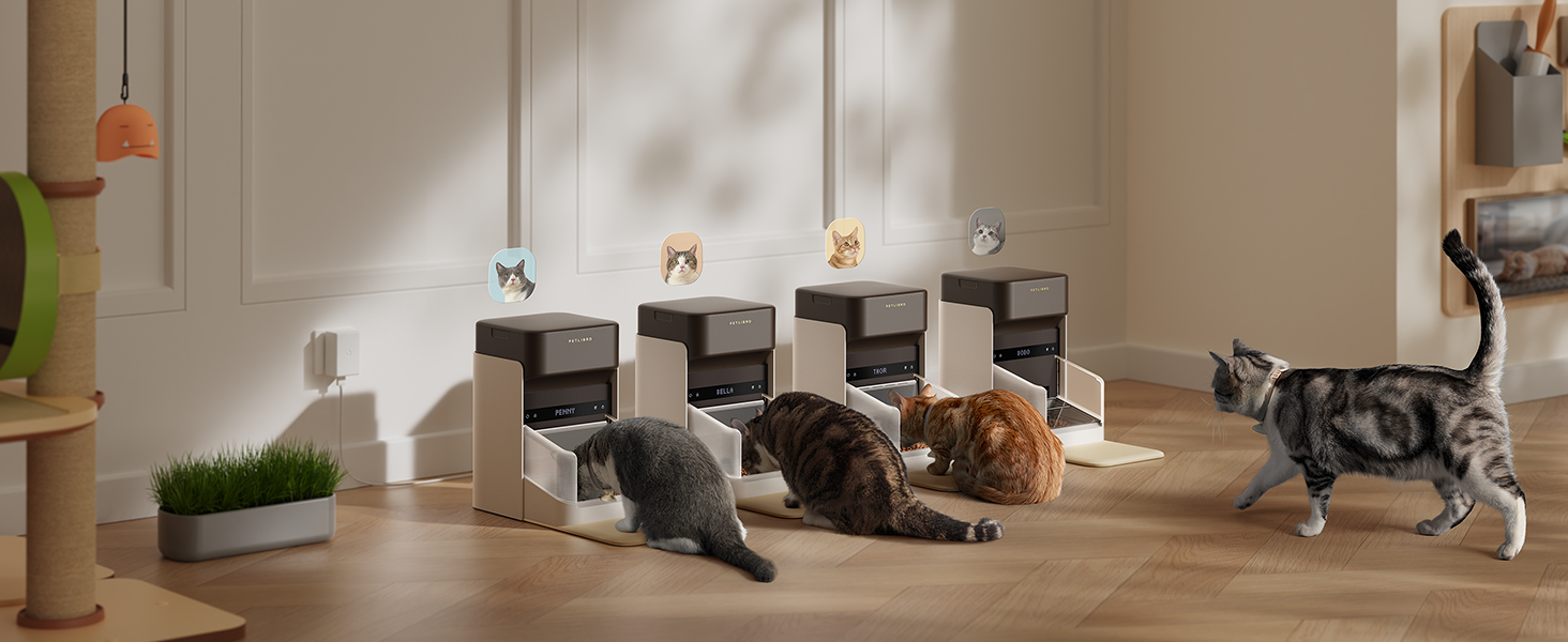 automatic cat feeder