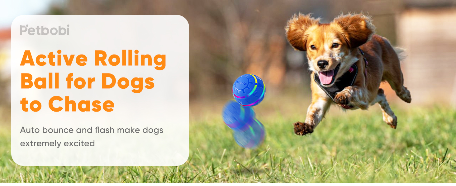 active rolling ball for dogs to chase