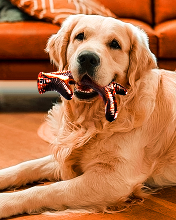 Dog Chew Toys