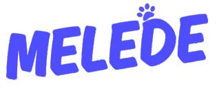 durable dog toys