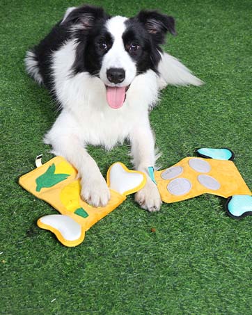 pet toys for dogs