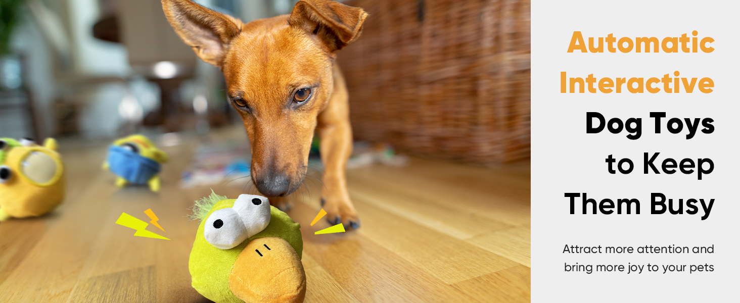 automatic interactive dog toy