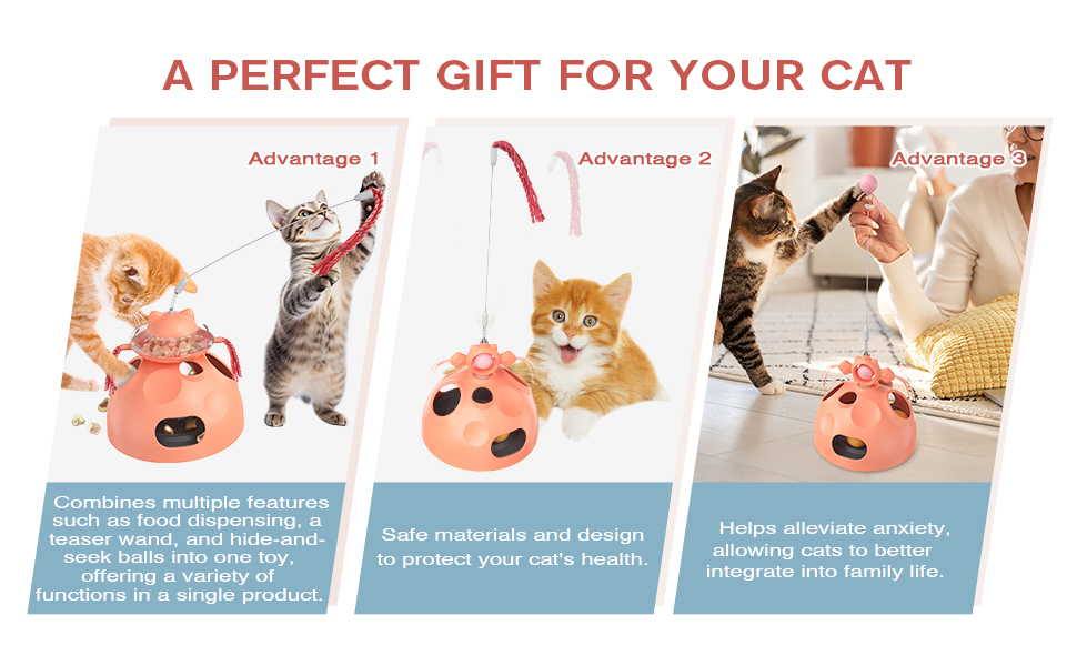 Cat Interactive Toy for Indoor