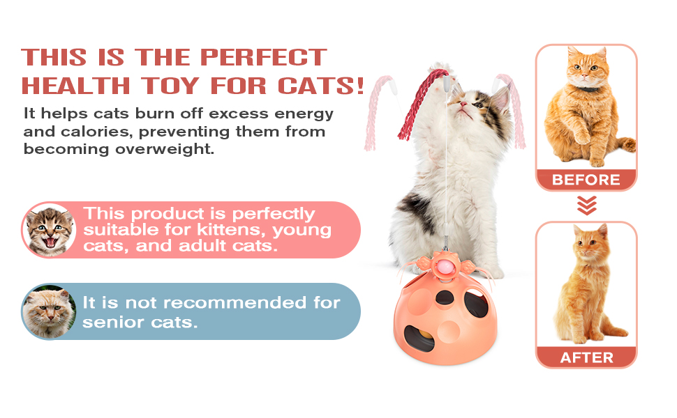 Cat Interactive Toy for Indoor