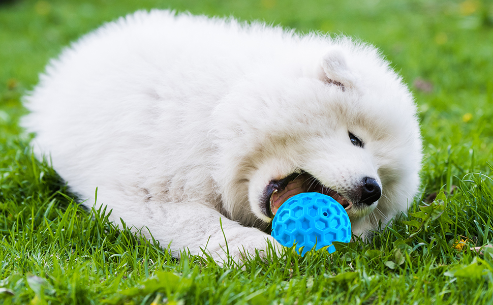 interactive dog ball