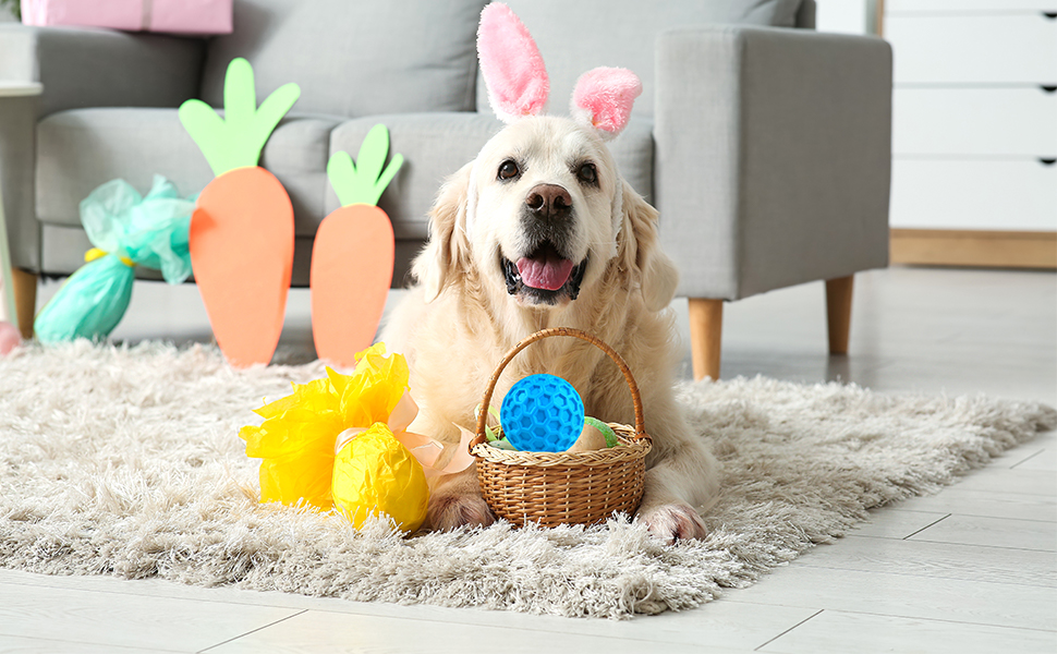 super chewer dog toys