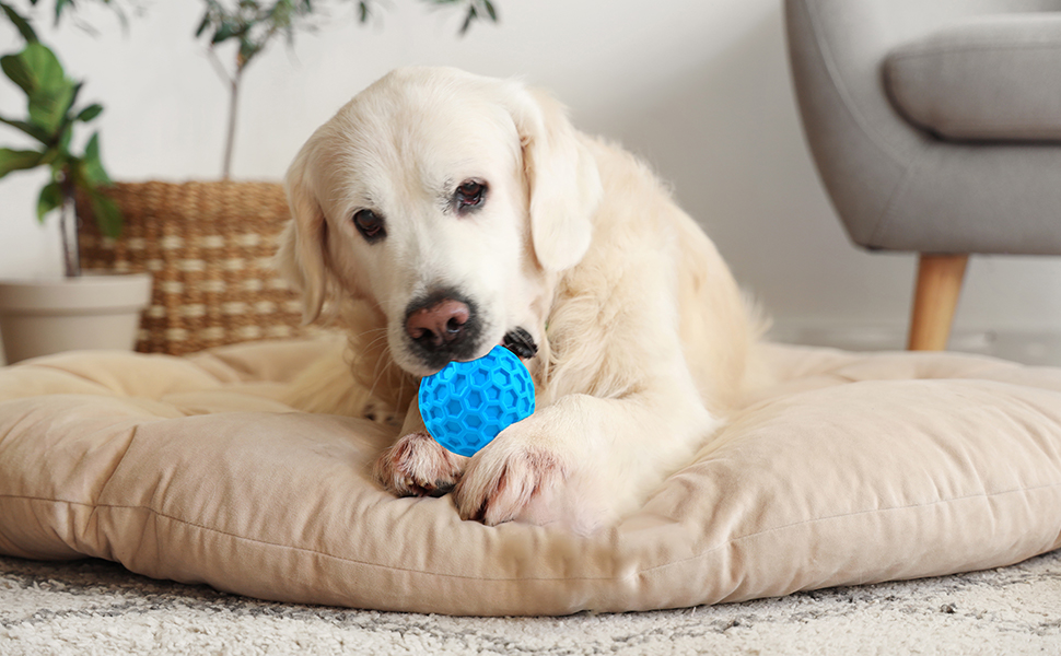 durable dog toys for aggressive chewers