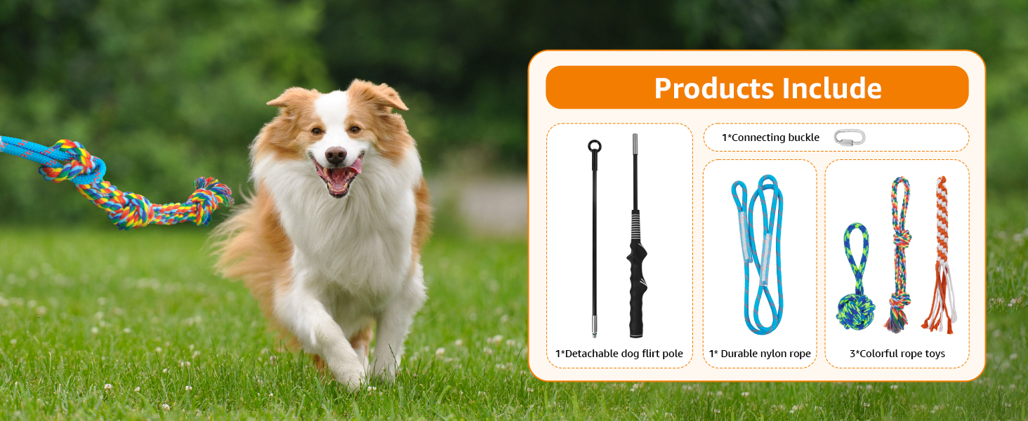 flirt pole for dogs
