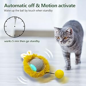motion cat toys