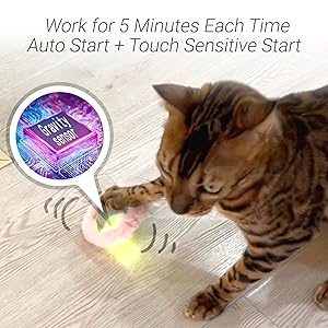 motion cat toys