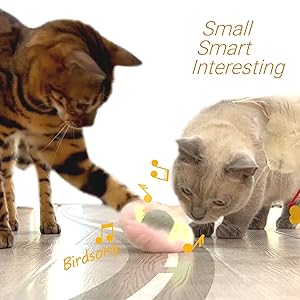 rc cat toys