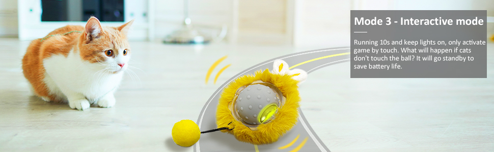 interactive cat toy