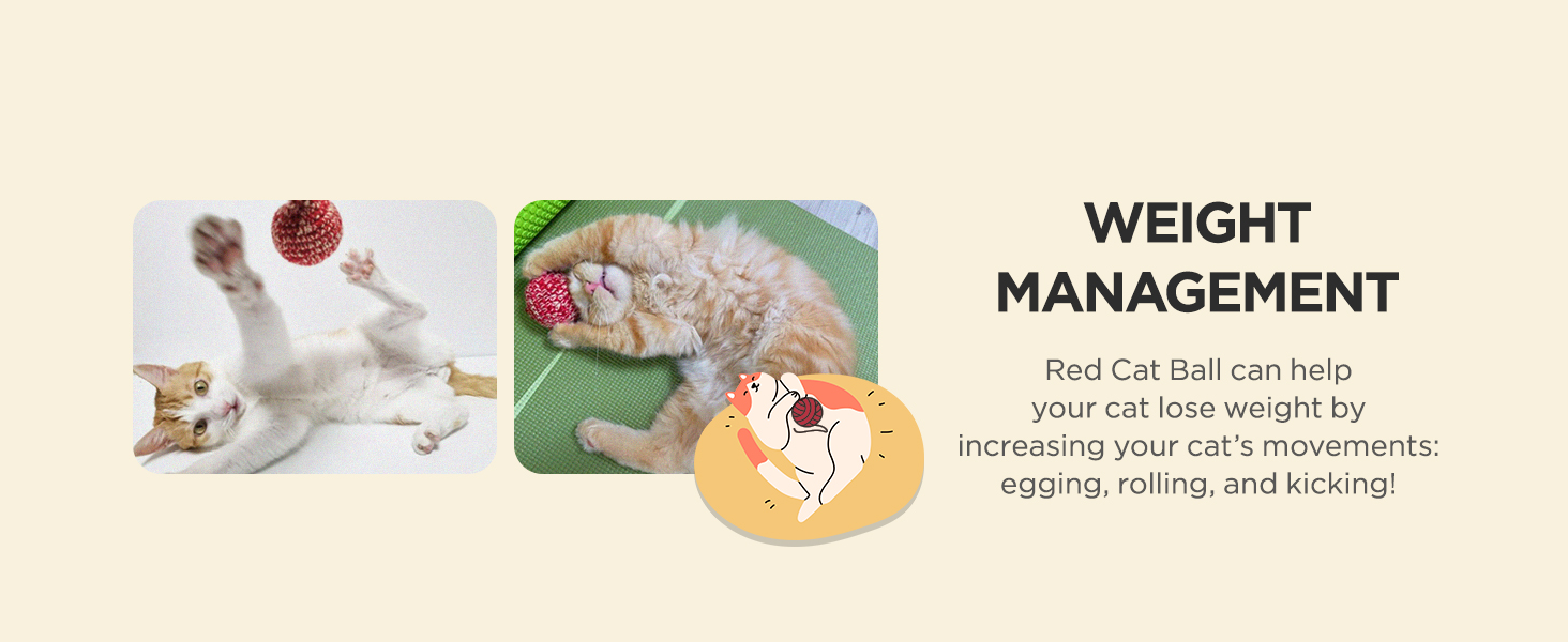 Catnip Toys for Cats