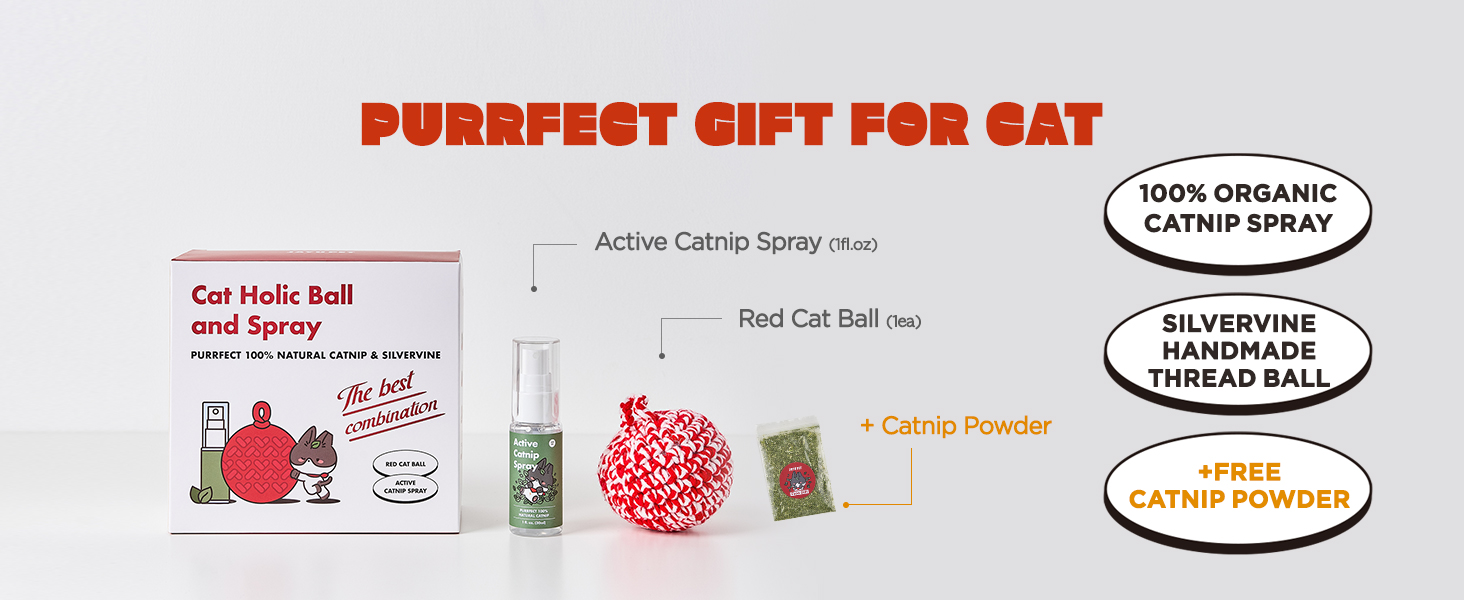Cat Toys for Indoor Cats Catnip Ball