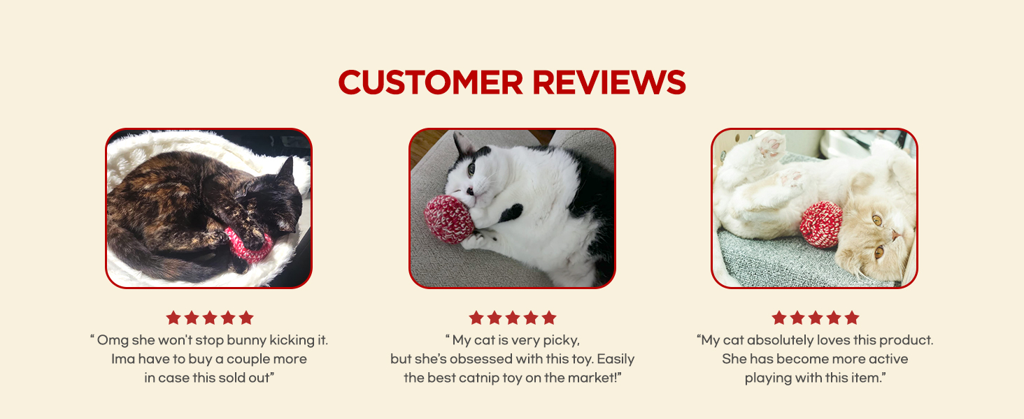Catnip Toys for Cats