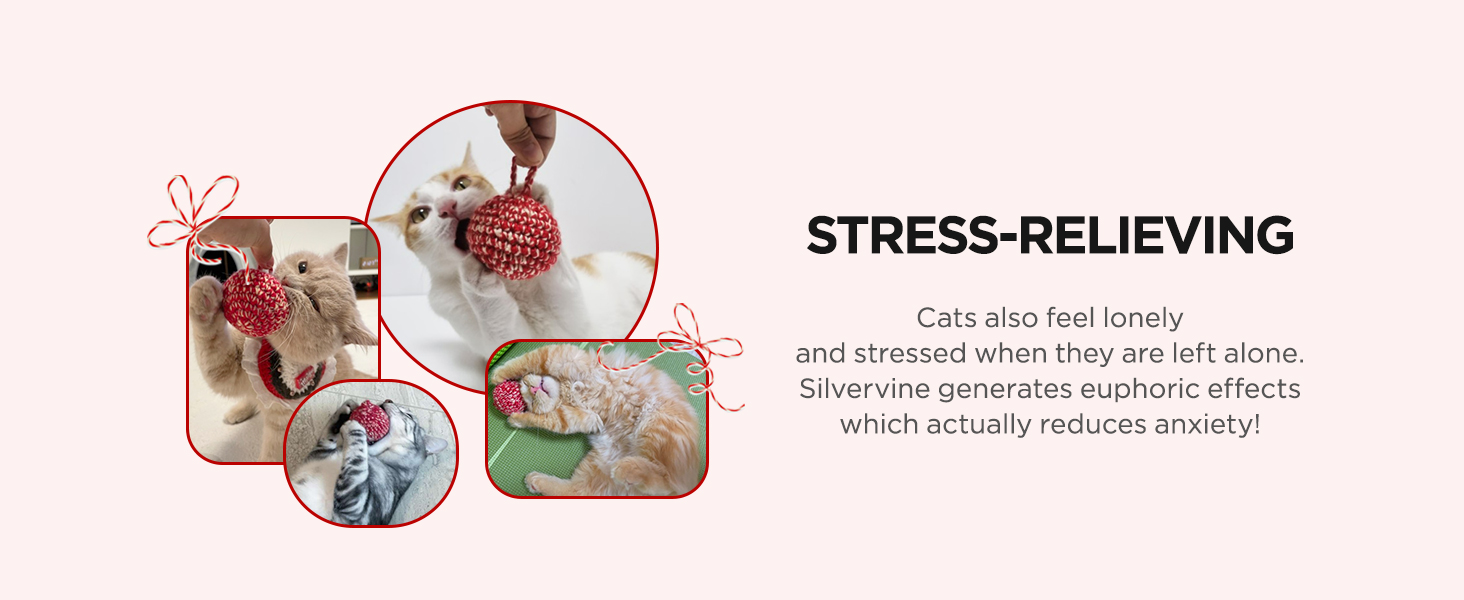 Catnip Toys for Cats