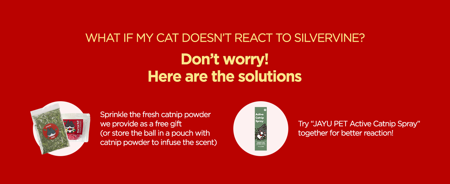 Catnip Toys for Cats