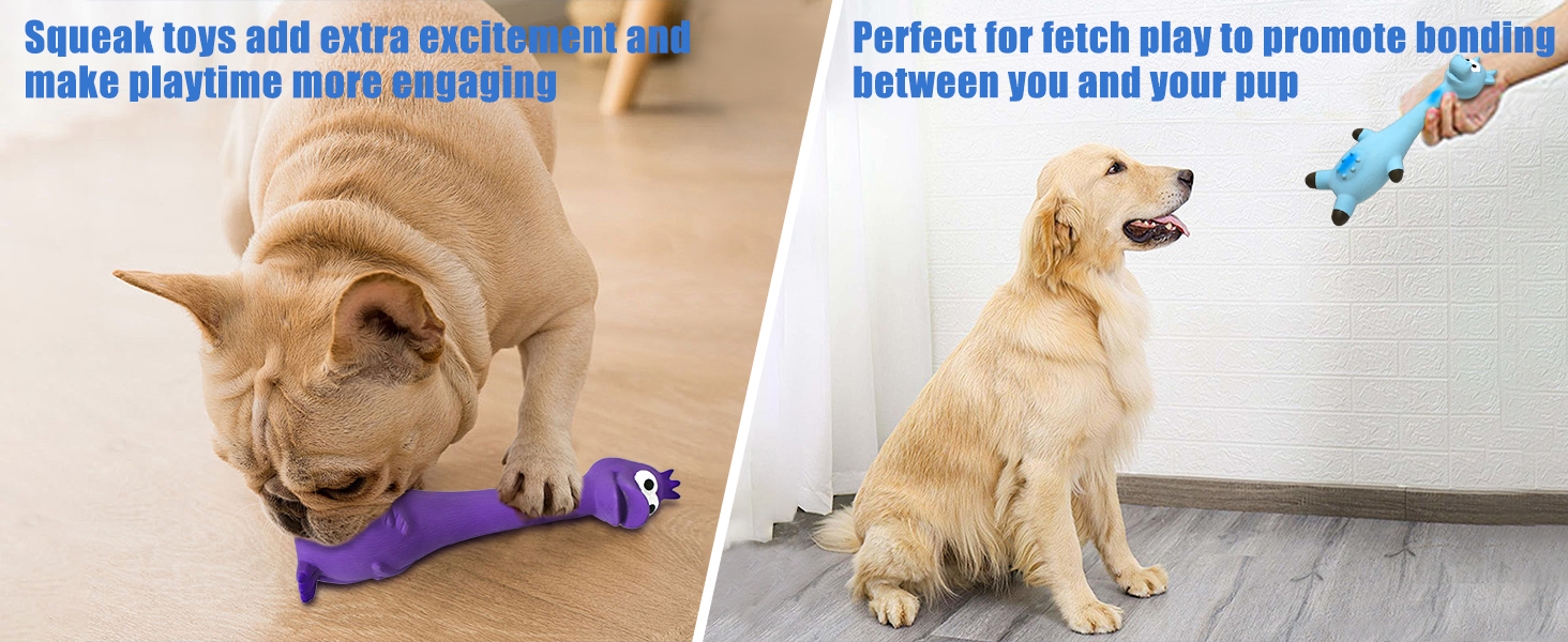 interactive dog toy