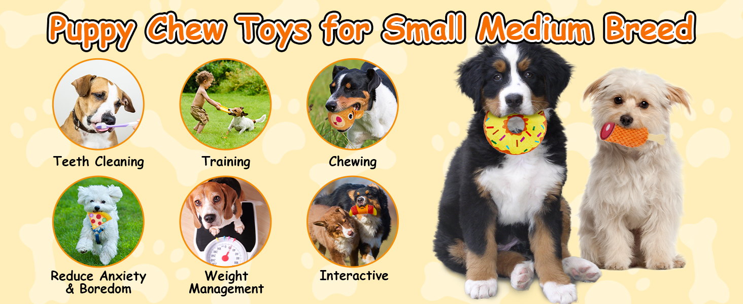 Dog Squeaky Toys