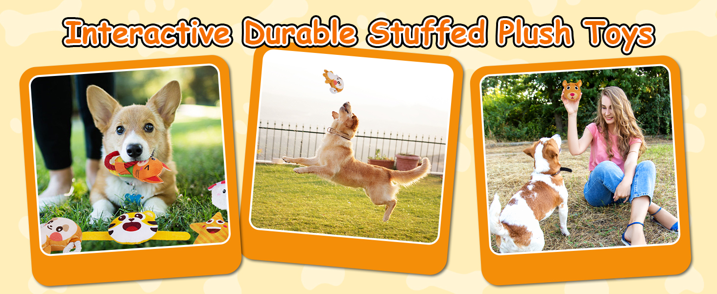 Dog Squeaky Toys