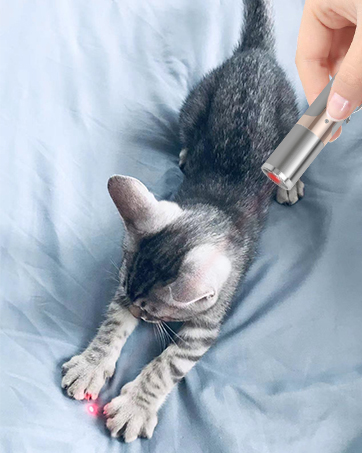 Interactive cat toys