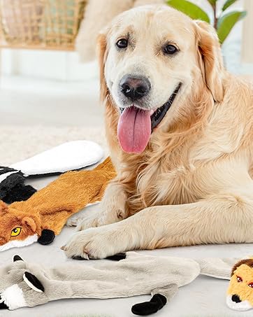 dog squeaky toy
