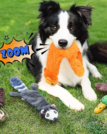 stuffless squeaky toy