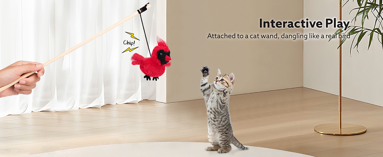 cat toys for indoor cats