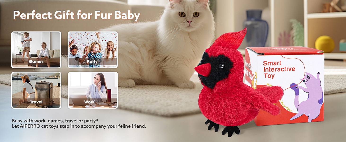 bird toys